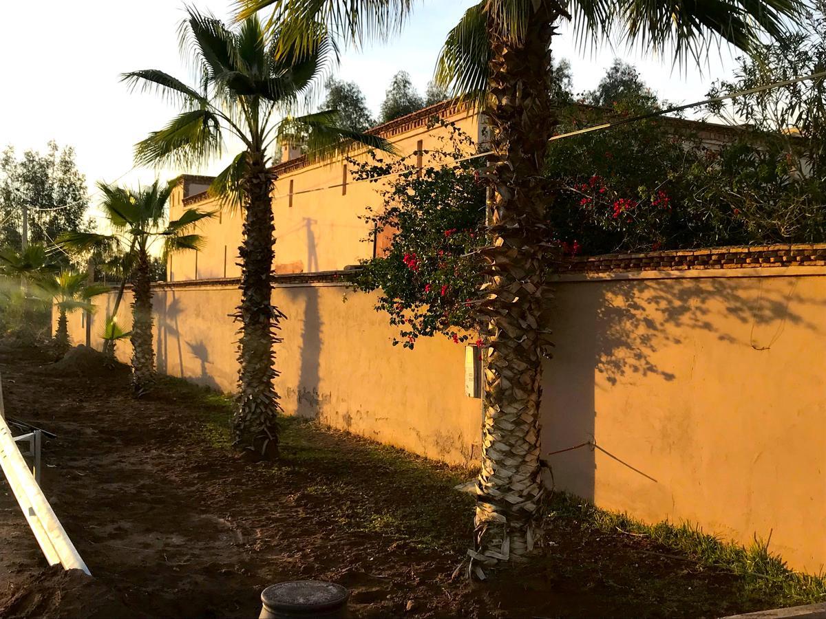 Palais Souad Villa Marrákes Kültér fotó